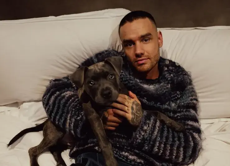 Liam Payne