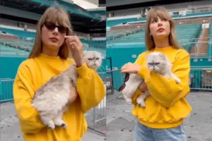 Taylor Swift e Olivia, sua gata
