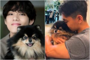 V, do BTS, com Yeontan