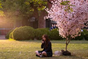 Imagem da série 'Com Carinho, Kitty'