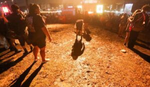 Lama no Lollapalooza 2025 (Sidnei Lopes_@observadordaimagem)