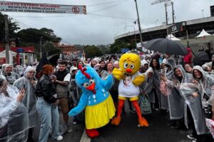 A Galinha Pintadinha e o Pintinho Amarelinho