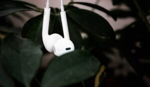 Acompanhe as novidades musicais