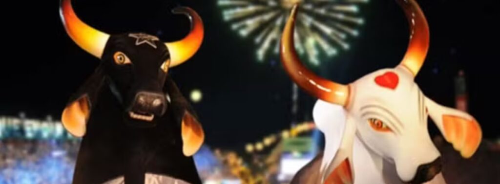 Bois Caprichoso e Garantido do Festival de Parintins (divulgação)