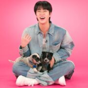 Jin, do BTS