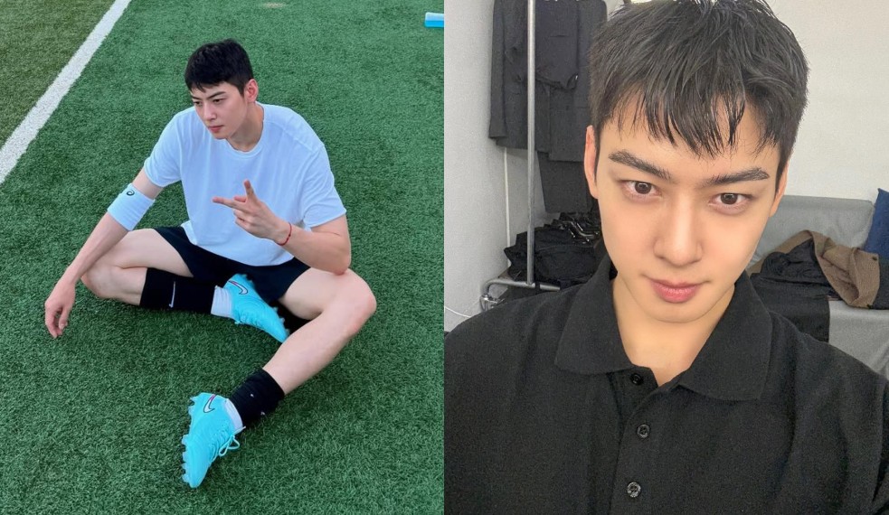Cha Eun-woo