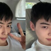 Cha Eun-woo