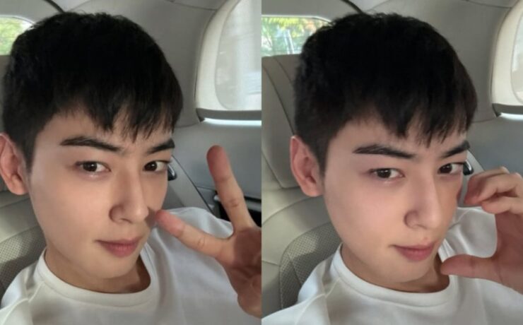 Cha Eun-woo