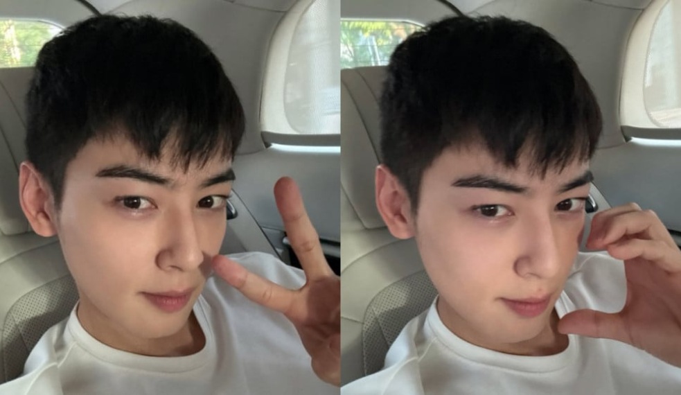 Cha Eun-woo