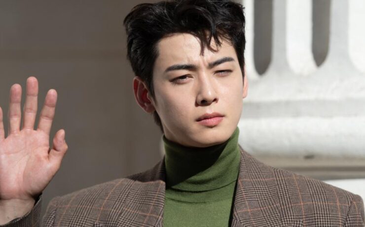Cha Eun-woo