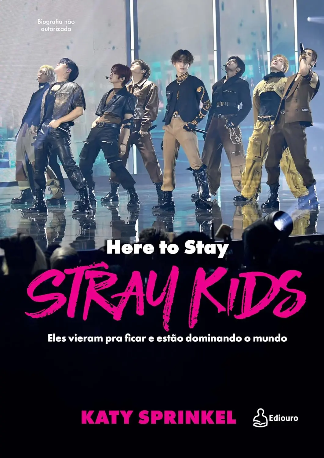 Livro do Stray Kids 
