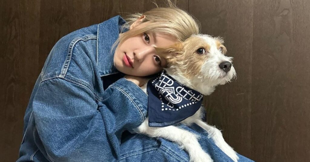 Como o cachorro de Rosé virou o cão mais seguido do Instagram 1 rose hank dog blackpink