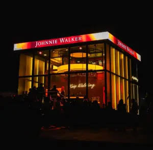 befunky 2025 8 5 16 15 58