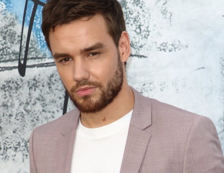 Liam Payne (1993-2024)