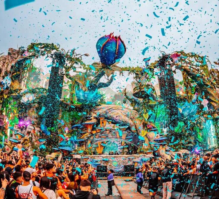 Tomorrowland Brasil 2025 (Foto: reprodução)