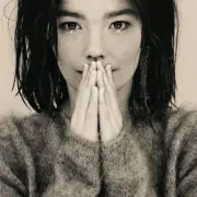 Debut, o primeiro álbum da carr