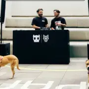 Dubdogz incentiva adoçãoo de cães usando música eletrônica (Divulgação)