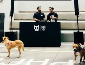 Dubdogz incentiva adoçãoo de cães usando música eletrônica (Divulgação)