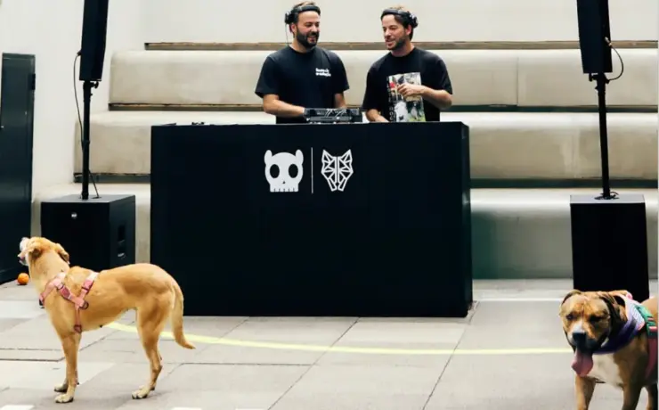 Dubdogz incentiva adoçãoo de cães usando música eletrônica (Divulgação)