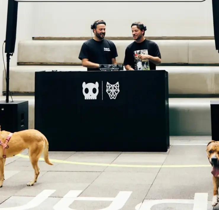 Dubdogz incentiva adoçãoo de cães usando música eletrônica (Divulgação)