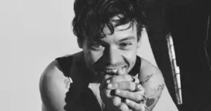 Harry Styles (reprodução - Facebook)