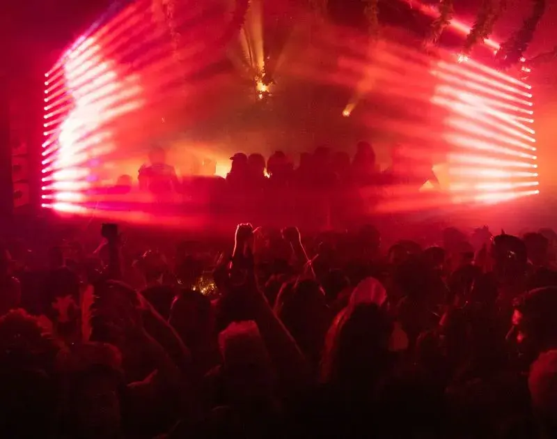 Com curadoria plural, Selvagem Carnaval realiza mais uma edição no RJ