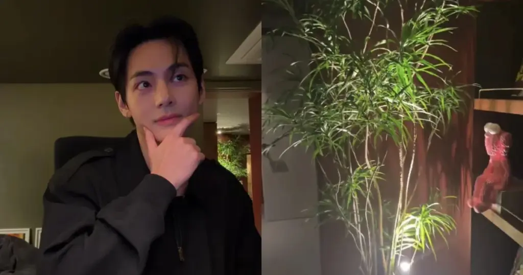 Como é a casa de V, do BTS? Cantor mostra detalhes 1 V, do BTS