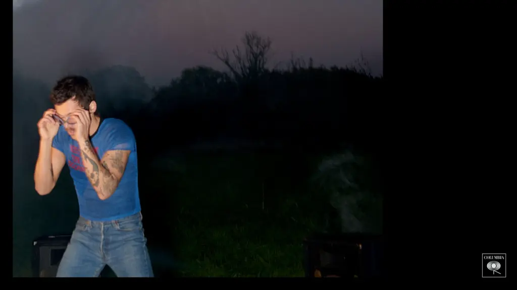 "Kiss All The Time Disco Occasion", de Harry Styles