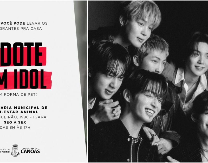 Prefeitura de Canoas se inspira no BTS para campanha de adoção animal