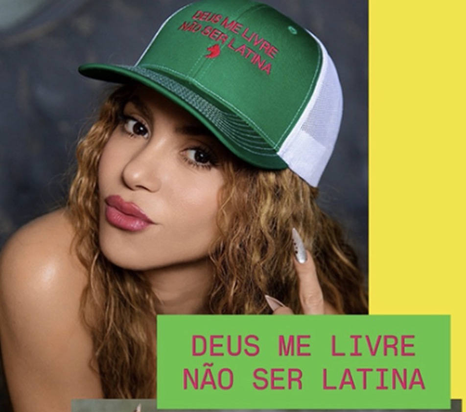 Story de Shakira no Instagram (Reprodução)