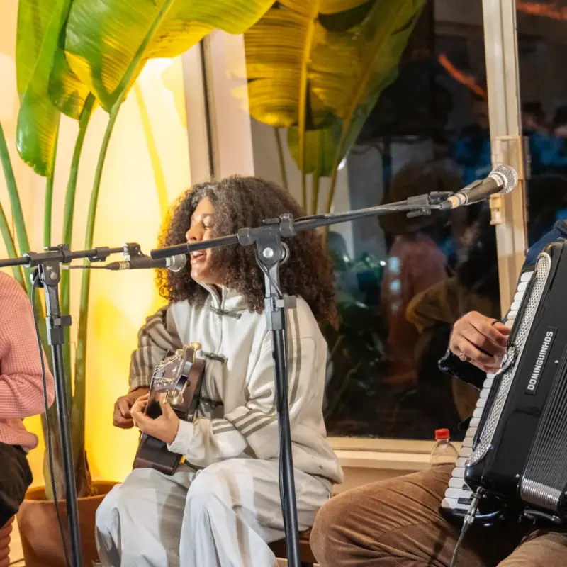 Conheça as novidades da Petra Zuca – A Casa da Música Brasileira