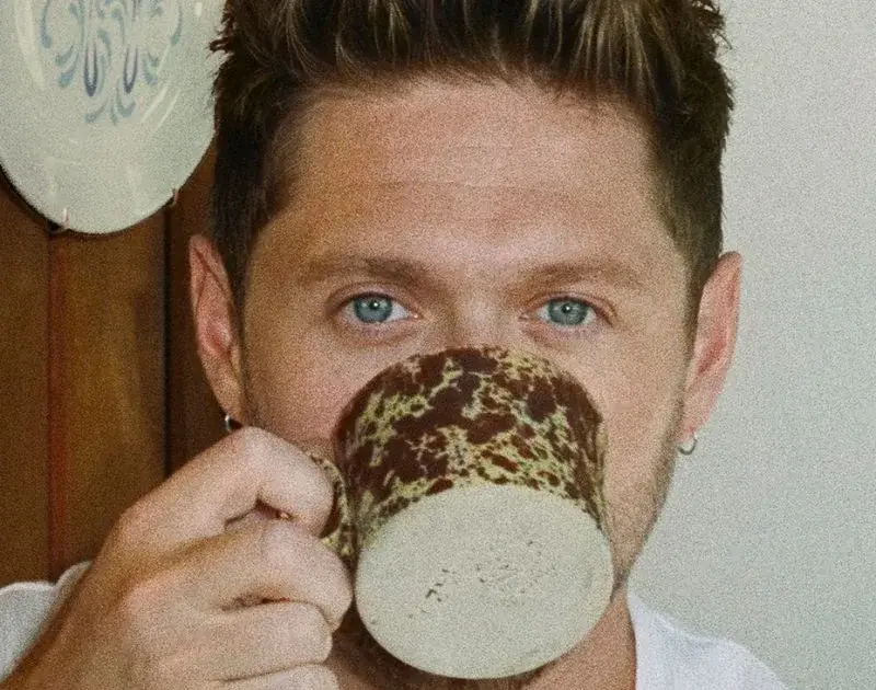 Niall Horan canta clássico dos anos 60 na trilha de ‘Off Campus’
