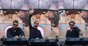 Vintage Culture no Tomorrowland (Reprodução)