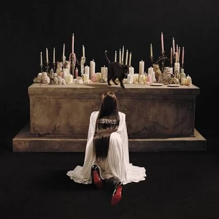 Capa do novo álbum de Tove Lo