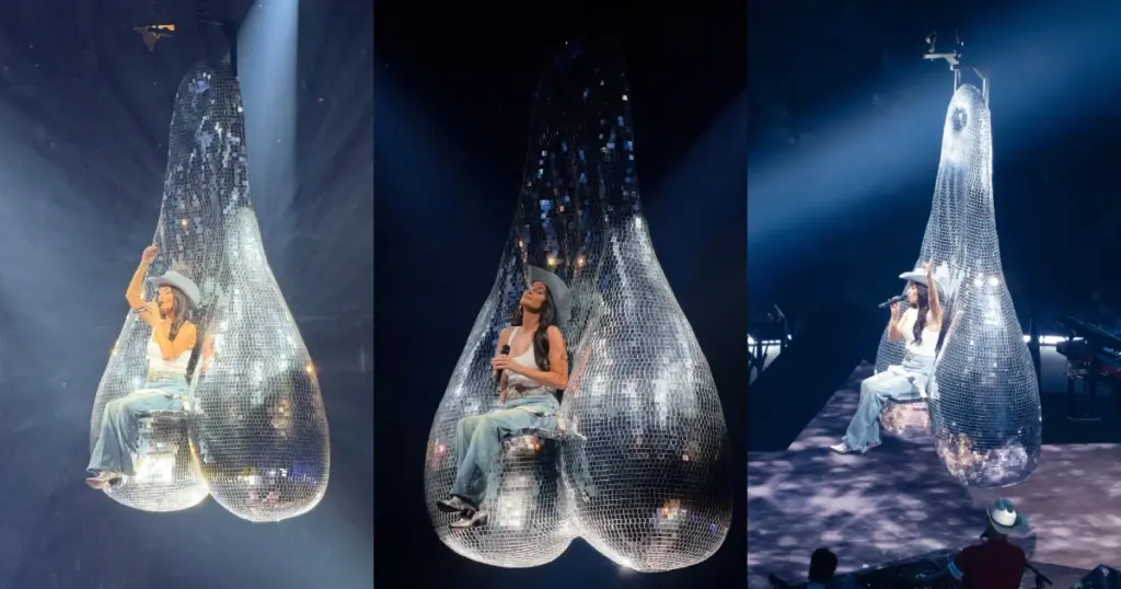 Coração de Kacey Musgraves vira parte de ‘cavalo da Beyoncé’ nas redes 1 Entrada de Kacey Musgraves vira ‘saco do cavalo da Beyoncé’ nas redes (Reprodução)