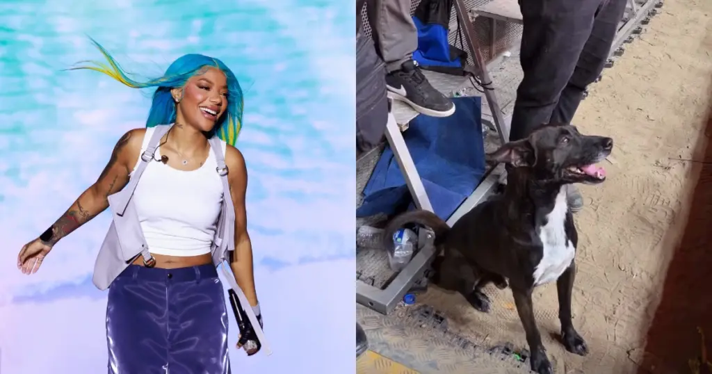 A cantora Ludmilla viu um doguinho assistindo seu show (Reprodução/Instagram)