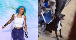 A cantora Ludmilla viu um doguinho assistindo seu show (Reprodução/Instagram)