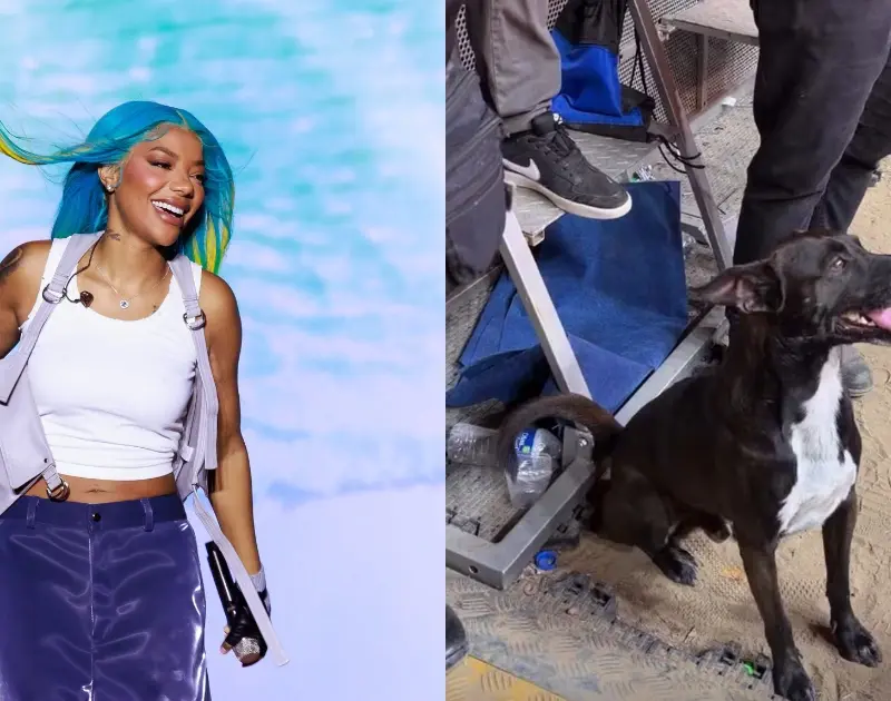 Ludmilla mostra cachorrinho que ficou ‘vidrado’em seu show